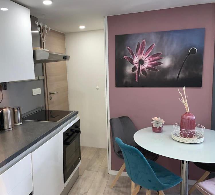 ザダルNice Apartmet N&Nアパートメント エクステリア 写真